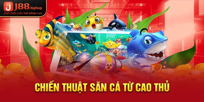 Chiến thuật săn cá từ cao thủ